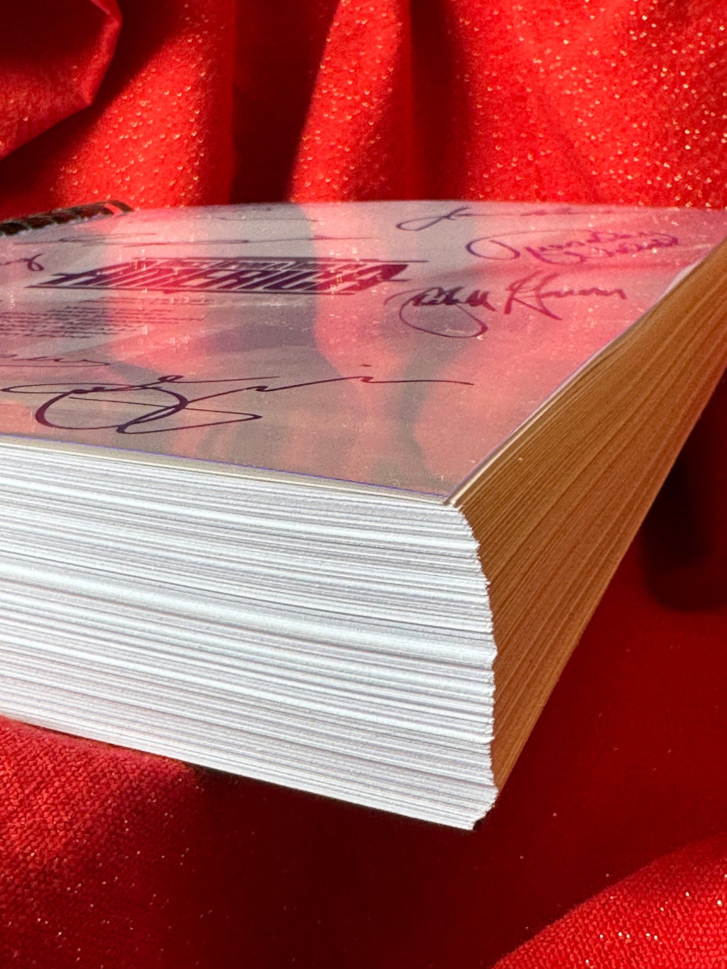 Once Upon A Time In America Signed Movie Script, Birthday Gift, Movie Gift, Film, Screenplay, De Niro, PLEASE NOTE: Very Thick Script !!